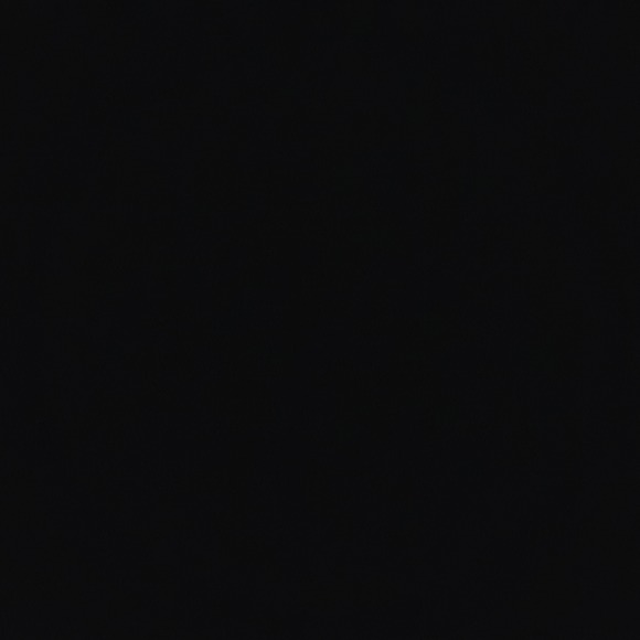 rosaa2015